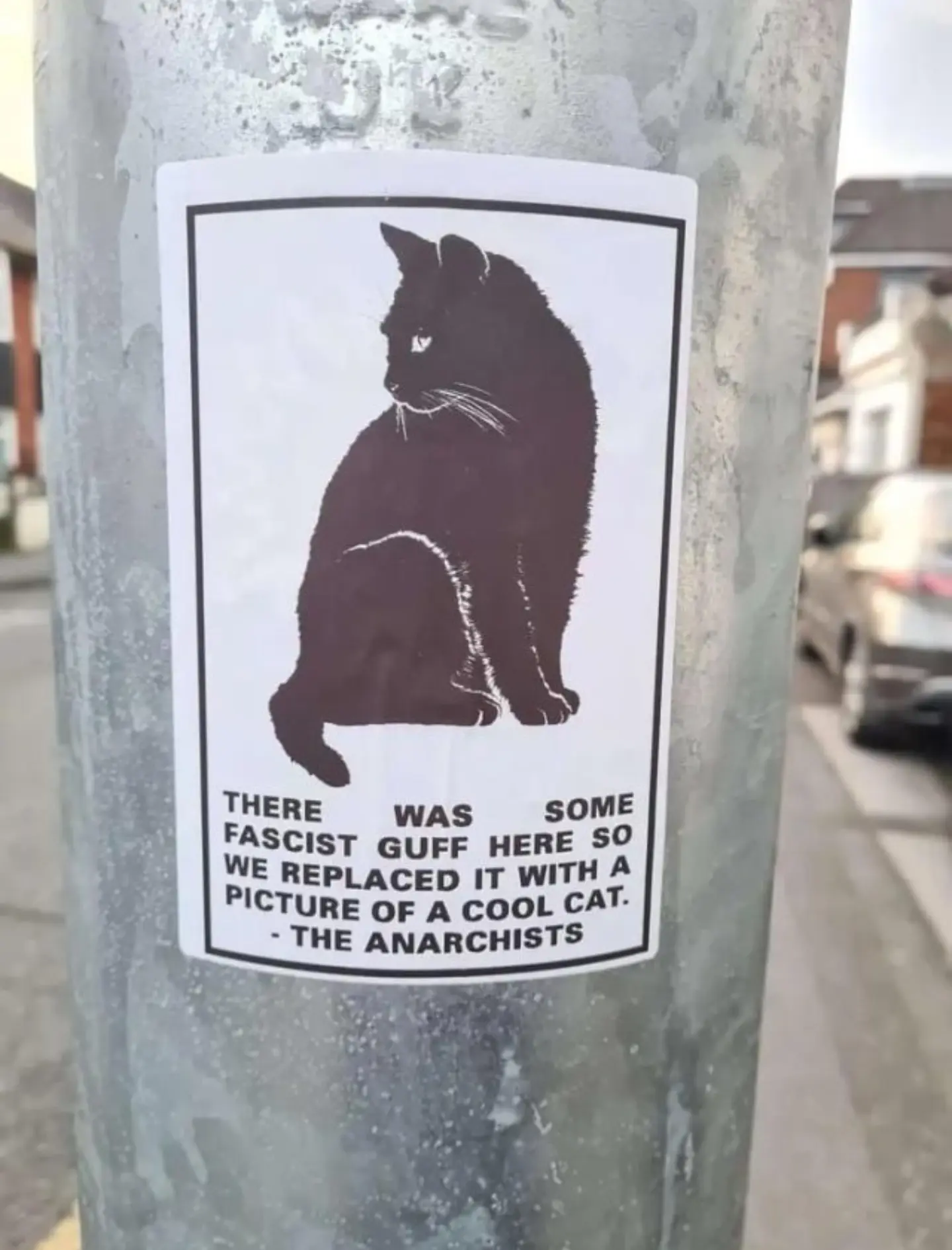 Black cat and black text on white paper wheat pasted on silver lamppost. Text is "THERE WAS SOME FASCIST GUFF HERE SO WE REPLACED IT WITH A PICTURE OF A COOL CAT. - THE ANARCHISTS"